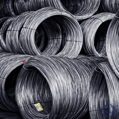 Проволока 0,3 noZn DIN 2078 купить в Актобе