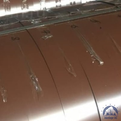 Штрипс с полимерным покрытием 0,45х1250 мм RAL8017 купить в Актобе
