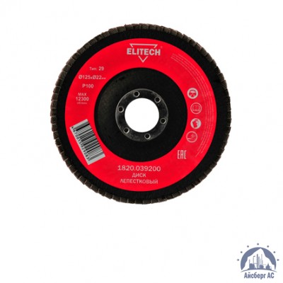 Круг лепестковый КЛТ 125х22 мм, P100, Elitech, 1820,039200 купить в Актобе