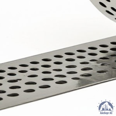 Скрепа для ленты НС-20-Т с зубьями C304 купить в Актобе