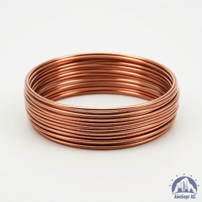 Проволока бронзовая 0.25 мм БрБ2 ГОСТ 15834-77 купить в Актобе