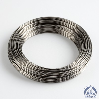 Проволока вольфрамовая 10,6 мкм ВМ купить в Актобе