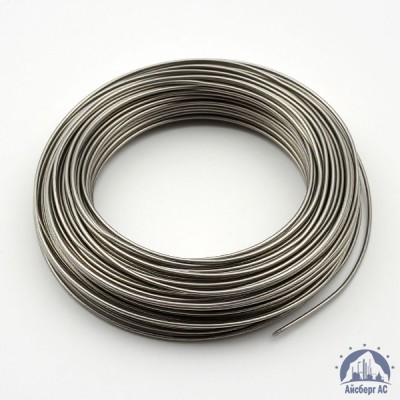 Проволока 0,03-Х20Н80-ВИ ГОСТ 8803-89 купить в Актобе