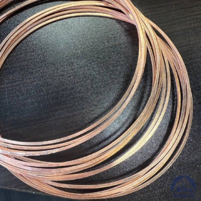 Прокладка медная уплотнительная 14х18-II s=1,5 ГОСТ 19752-84 купить в Актобе