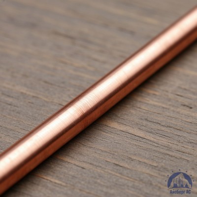 Пруток медный 10 мм М1 ГОСТ 1535-2006 купить в Актобе