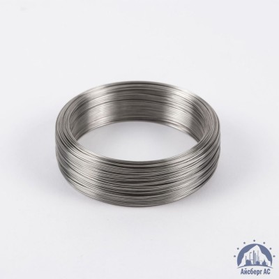 Проволока вязальная 0,3 мм ТН-С ГОСТ 3282-74 купить в Актобе