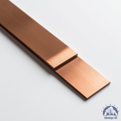 Полоса медная 100х10 мм М1Т ГОСТ 434-78 купить в Актобе