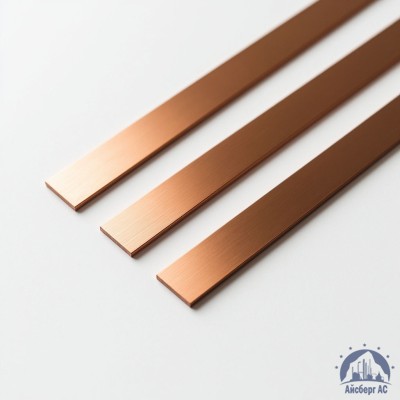 Полоса медная 100х10 мм ШМТ ГОСТ 434-78 купить в Актобе