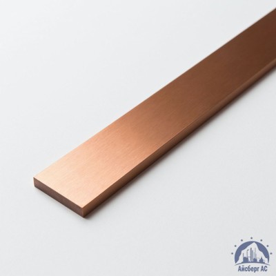 Полоса медная 100х12 мм М1М ГОСТ 434-78 купить в Актобе