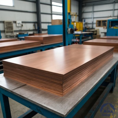 Плита бронзовая 12х600х1500 мм БРХЦР купить в Актобе