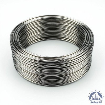 Проволока круглая 0,2-П-2-55 ГОСТ 3875-83 купить в Актобе