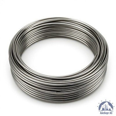 Проволока круглая 0,2-П-2-65Г ГОСТ 3875-83 купить в Актобе