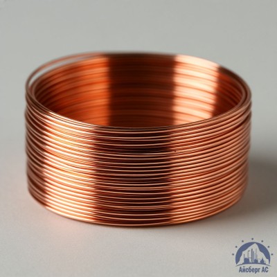 Проволока сварочная ДКРХМ 4 БТ МСр1 ГОСТ 16130-90 купить в Актобе