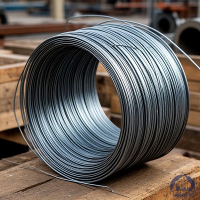 Проволока   1-1-25 ГОСТ 5663-79 купить в Актобе