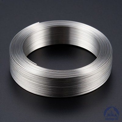 Проволока титановая 0,8 мм ВТ20-2СВ ГОСТ 27265-87 купить в Актобе