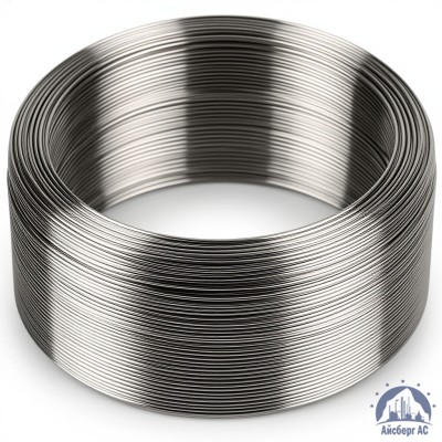 Проволока титановая 3 мм СПТ2 купить в Актобе