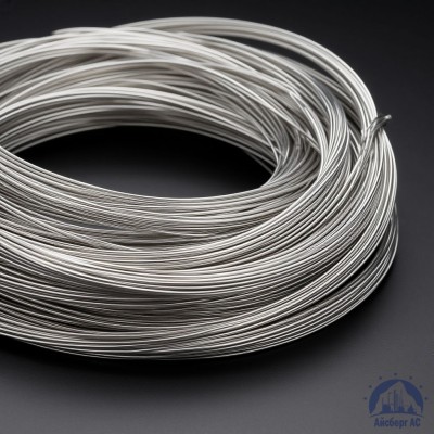 Проволока СрМ 916 купить в Актобе