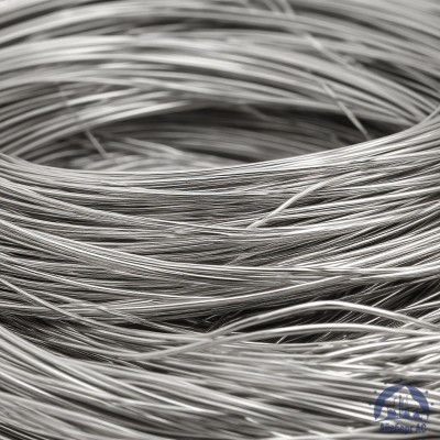 Проволока серебряная СрМ 925 ТУ 48-1-350-85 купить в Актобе