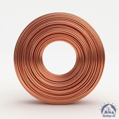 Проволока сварочная ДКРХМ 2 БТ МНЖКТ5-1-0,2-0,2 ГОСТ 16130-90 купить в Актобе