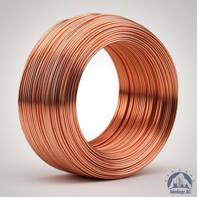 Проволока сварочная ДКРХМ 2,5 БТ МНЖКТ5-1-0,2-0,2 ГОСТ 16130-90 купить в Актобе