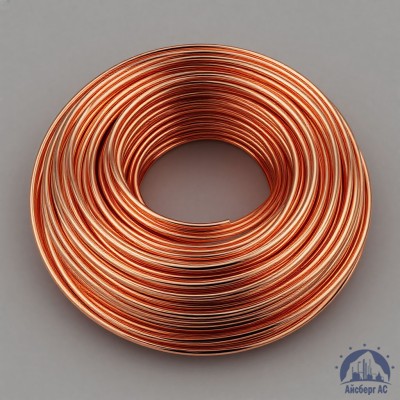 Проволока сварочная ДКРХМ 2,5 БТ МСр1 ГОСТ 16130-90 купить в Актобе