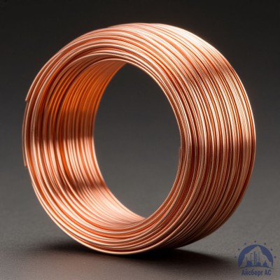 Проволока сварочная ДКРХМ 3 БТ МНЖКТ5-1-0,2-0,2 ГОСТ 16130-90 купить в Актобе