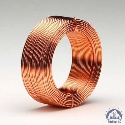 Проволока сварочная ДКРХМ 0,8 БТ МНЖКТ5-1-0,2-0,2 ГОСТ 16130-90 купить в Актобе