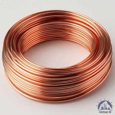 Проволока сварочная ДКРХМ 1,4 БТ МНЖКТ5-1-0,2-0,2 ГОСТ 16130-90 купить в Актобе