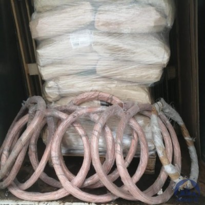 Проволока медная М0б 5 мм ДКРНТ в бухте купить в Актобе