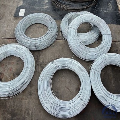 Проволока 0,3-Х15Н60 ГОСТ 8803-89 купить в Актобе