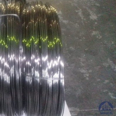 Проволока 0,34-Х15Н60 ГОСТ 8803-89 купить в Актобе