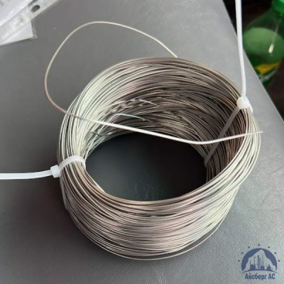 Проволока 0,25-Х15Н60 ГОСТ 8803-89 купить в Актобе