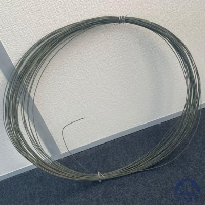 Проволока 0,36-Х20Н80 ГОСТ 8803-89 купить в Актобе