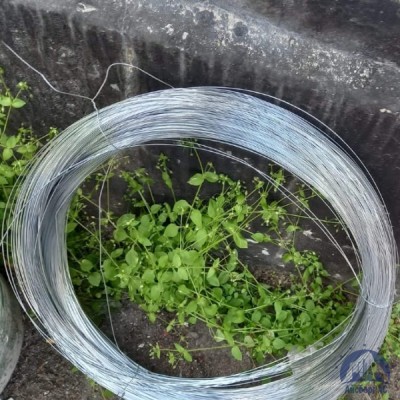 Проволока 0,34-Х20Н80-ВИ ГОСТ 8803-89 купить в Актобе