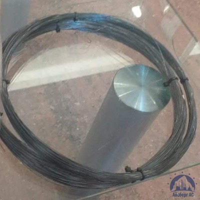 Проволока 0,32-20пс ГОСТ 17305-91 купить в Актобе