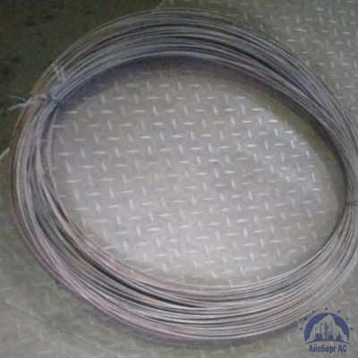 Проволока нержавеющая сварочная 0,8 мм AISI 308 LSI купить в Актобе